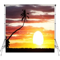 Tropical Sunset Background Backdrops 68590528