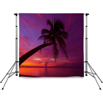 Tropical Sunset With Palm Tree Silhoette At Beach Backdrops 47718087