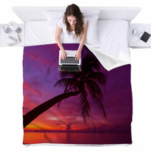Tropical Sunset With Palm Tree Silhoette At Beach Blankets 47718087