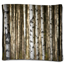 Trunks Of Birch Trees Blankets 56871841