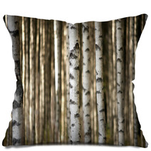 Trunks Of Birch Trees Pillows 56871841