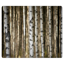 Trunks Of Birch Trees Rugs 56871841