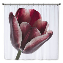 Tulip Bath Decor 38136971