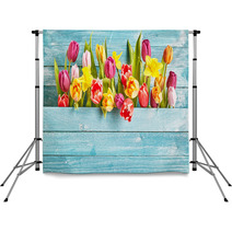 Tulip Border With Copy Space Backdrops 105028548