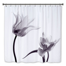 Tulip  Silhouettes On White Bath Decor 50174796