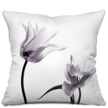 Tulip  Silhouettes On White Pillows 50174796