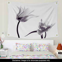 Tulip  Silhouettes On White Wall Art 50174796