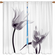Tulip  Silhouettes On White Window Curtains 50174796