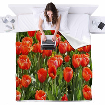 Tulpenbeet Blankets 5446202