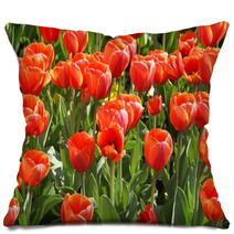 Tulpenbeet Pillows 5446202