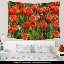 Tulpenbeet Wall Art 5446202