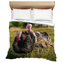 Turkeys Bedding 68997601