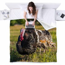 Turkeys Blankets 68997601