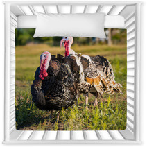 Turkeys Nursery Decor 68997601