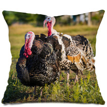 Turkeys Pillows 68997601