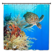 Turtle And Coral Bath Decor 46969332