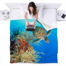 Turtle And Coral Blankets 46969332