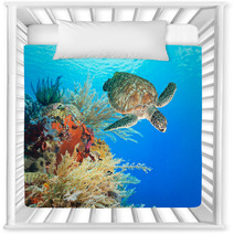 Turtle And Coral Nursery Decor 46969332