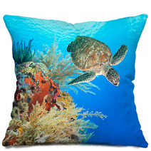Turtle And Coral Pillows 46969332