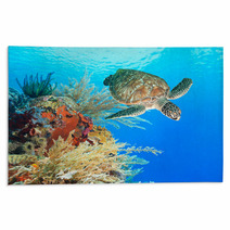 Turtle And Coral Rugs 46969332