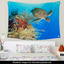 Turtle And Coral Wall Art 46969332