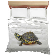 Turtle Bedding 42546804