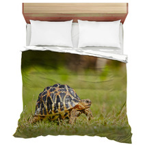 Turtle Bedding 55542394