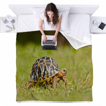 Turtle Blankets 55542394