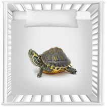 Turtle Nursery Decor 42546804