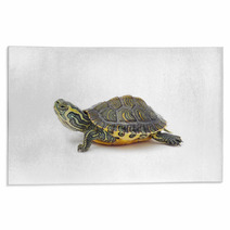 Turtle Rugs 42546804