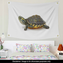 Turtle Wall Art 42546804