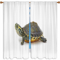 Turtle Window Curtains 42546804