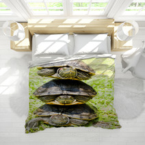 Turtles Bedding 67673777