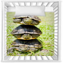 Turtles Nursery Decor 67673777