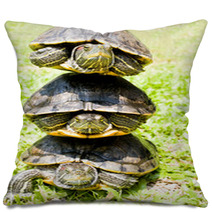 Turtles Pillows 67673777