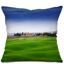 Tuscany Pillows 61012517