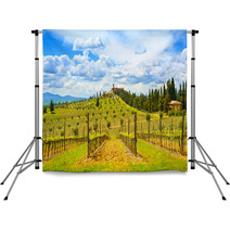 Tuscany, Vineyard, Cypress Trees And Village. Rural Landscape, I Backdrops 65100470