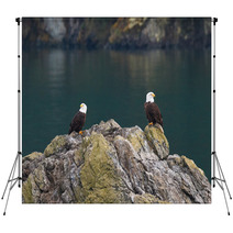 Two Bald Eagles Backdrops 59881966