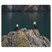 Two Bald Eagles Rugs 59881966