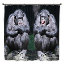 Two Chimpanzees Have A Fun. Bath Decor 54017933