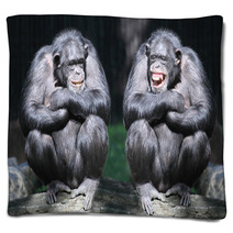 Two Chimpanzees Have A Fun. Blankets 54017933