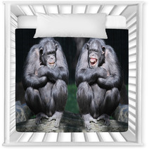 Two Chimpanzees Have A Fun. Nursery Decor 54017933