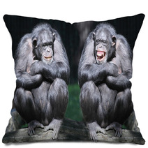 Two Chimpanzees Have A Fun. Pillows 54017933