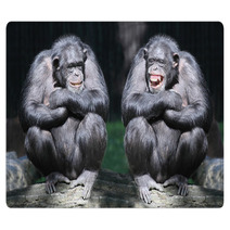 Two Chimpanzees Have A Fun. Rugs 54017933