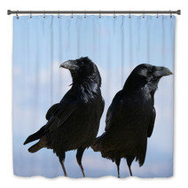 Two Common Ravens In Bryce Canyon National Park In Utah Bath Decor 88774395