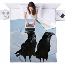 Two Common Ravens In Bryce Canyon National Park In Utah Blankets 88774395