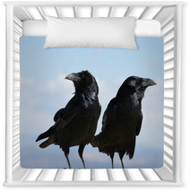 Two Common Ravens In Bryce Canyon National Park In Utah Nursery Decor 88774395