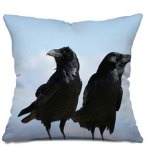 Two Common Ravens In Bryce Canyon National Park In Utah Pillows 88774395