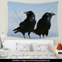 Two Common Ravens In Bryce Canyon National Park In Utah Wall Art 88774395