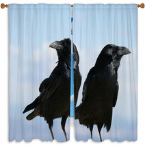 Two Common Ravens In Bryce Canyon National Park In Utah Window Curtains 88774395